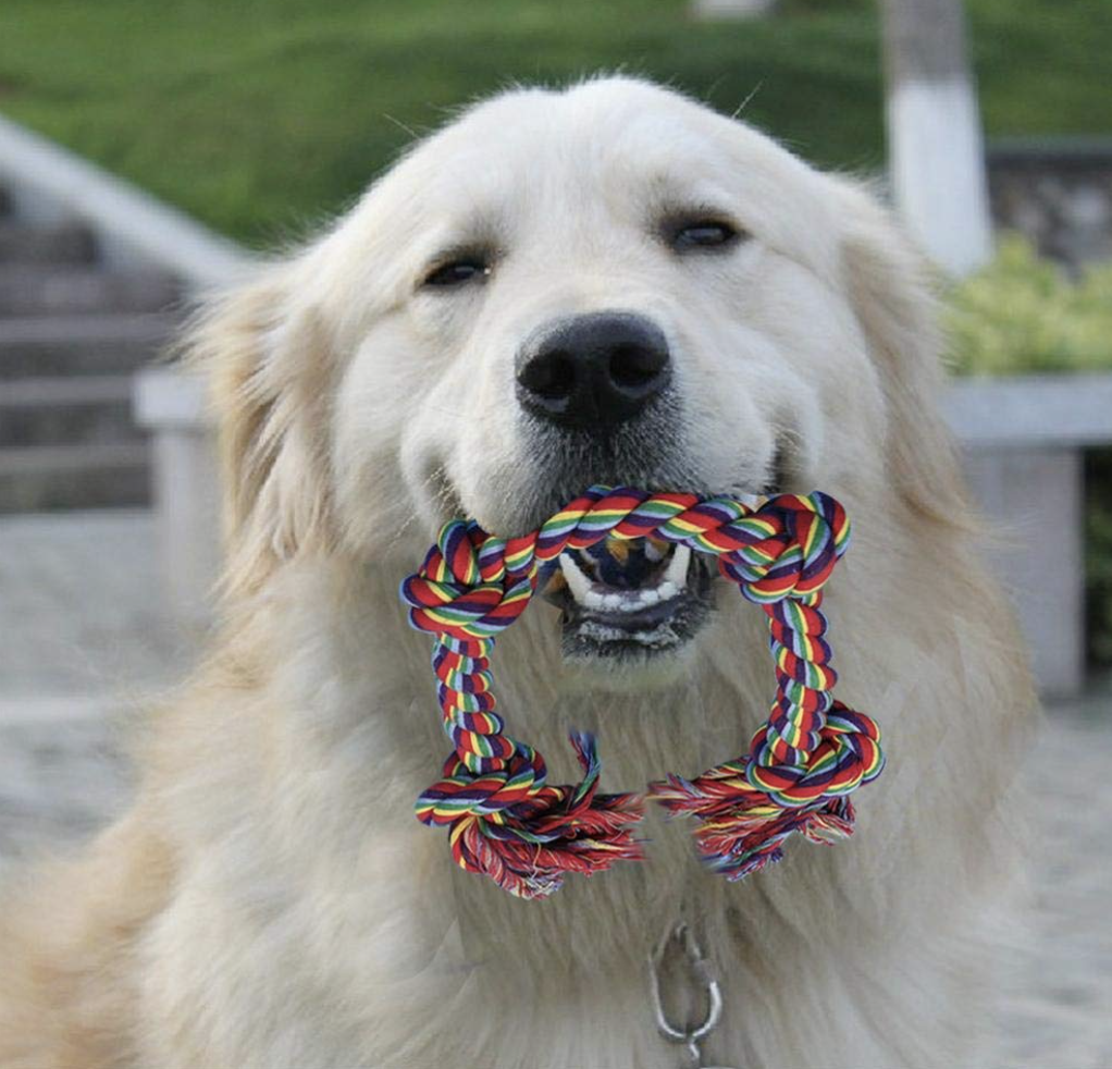 Braided Rope Tug