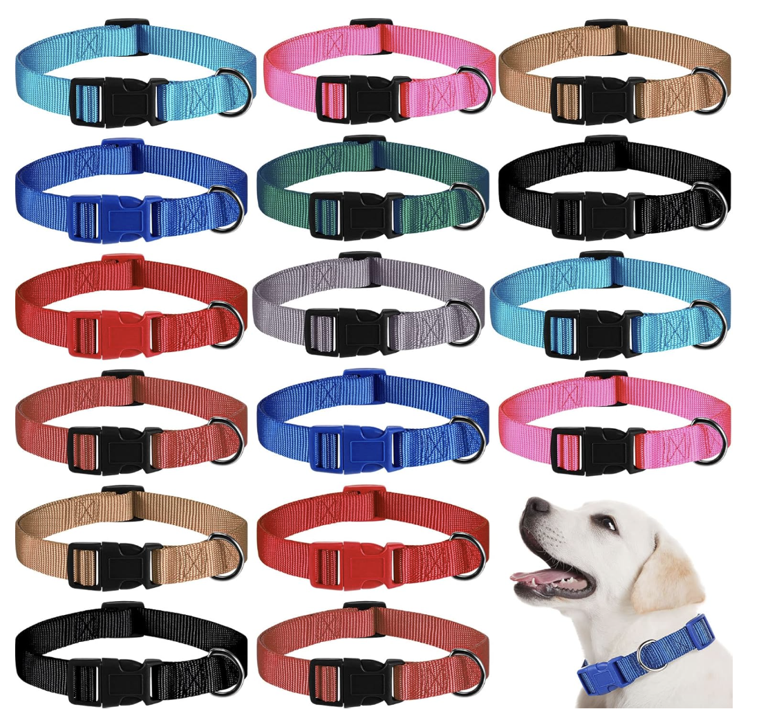 Hunter Neoprene Collar M