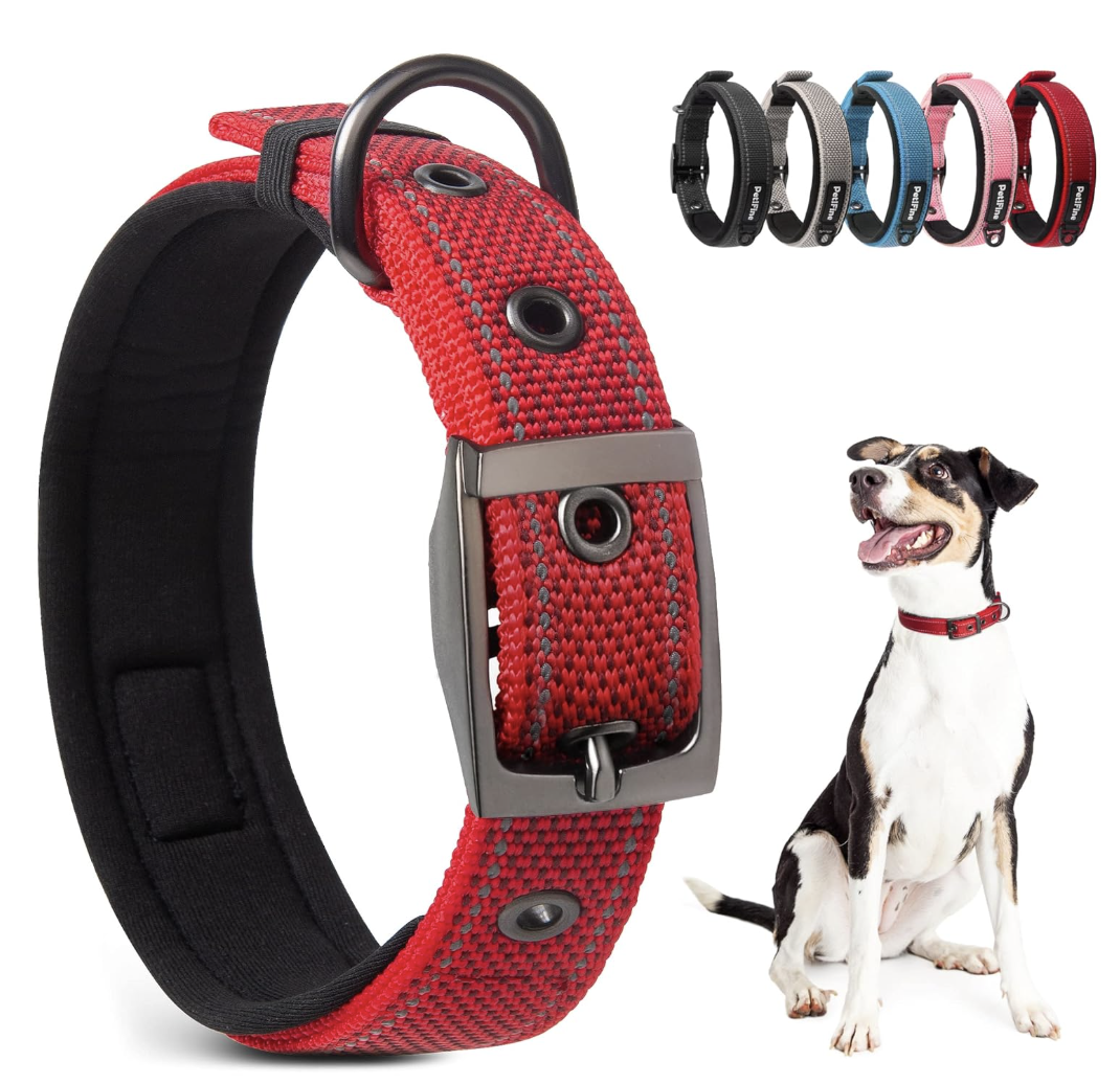 Hunter Neoprene Collar SM