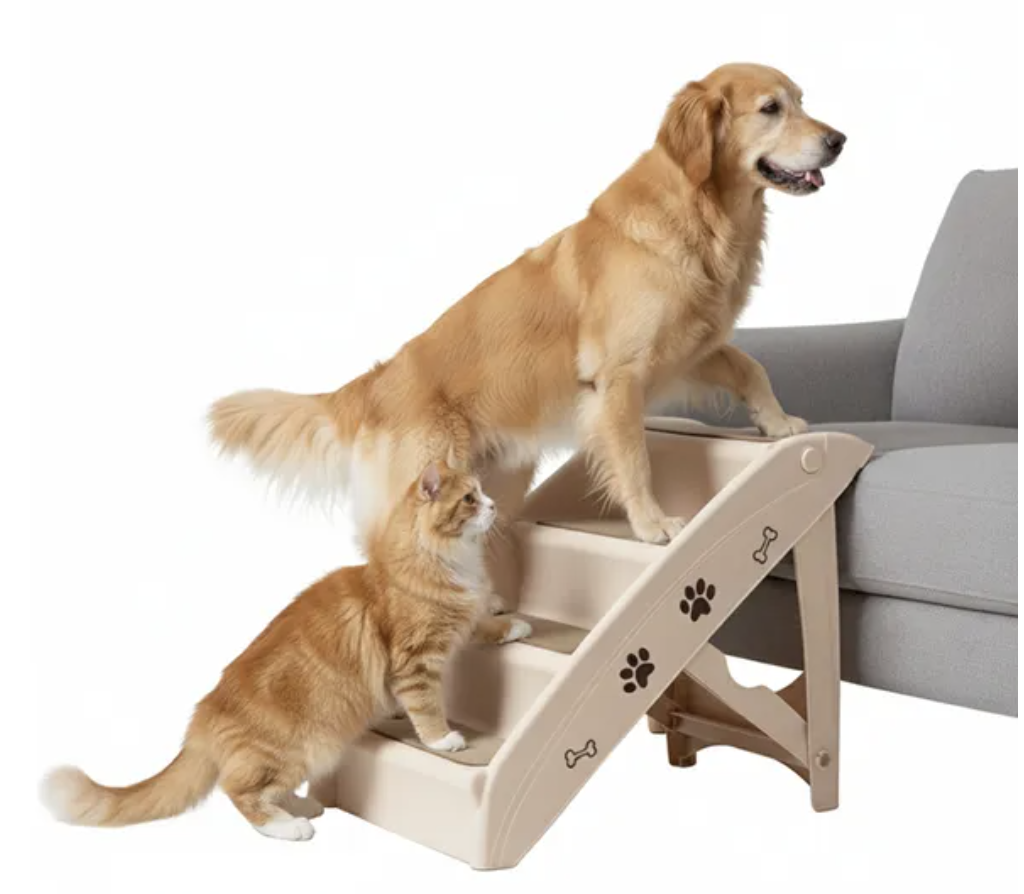 Ladder Perch