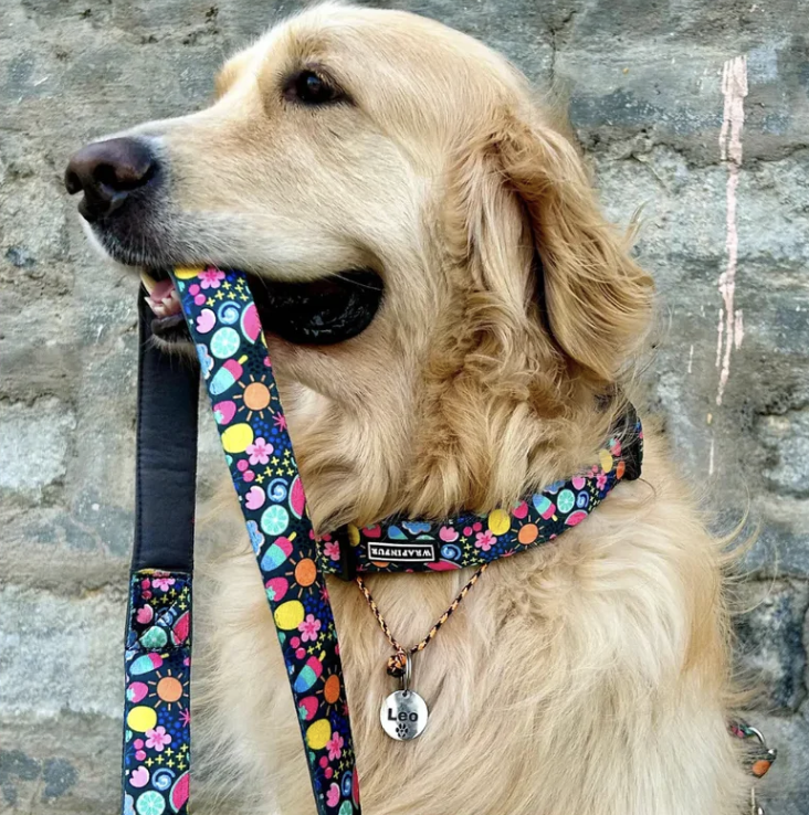 Hunter Retriever Lead