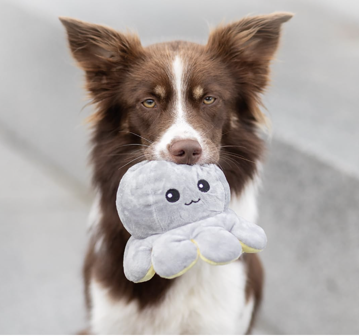 Plush Octopus