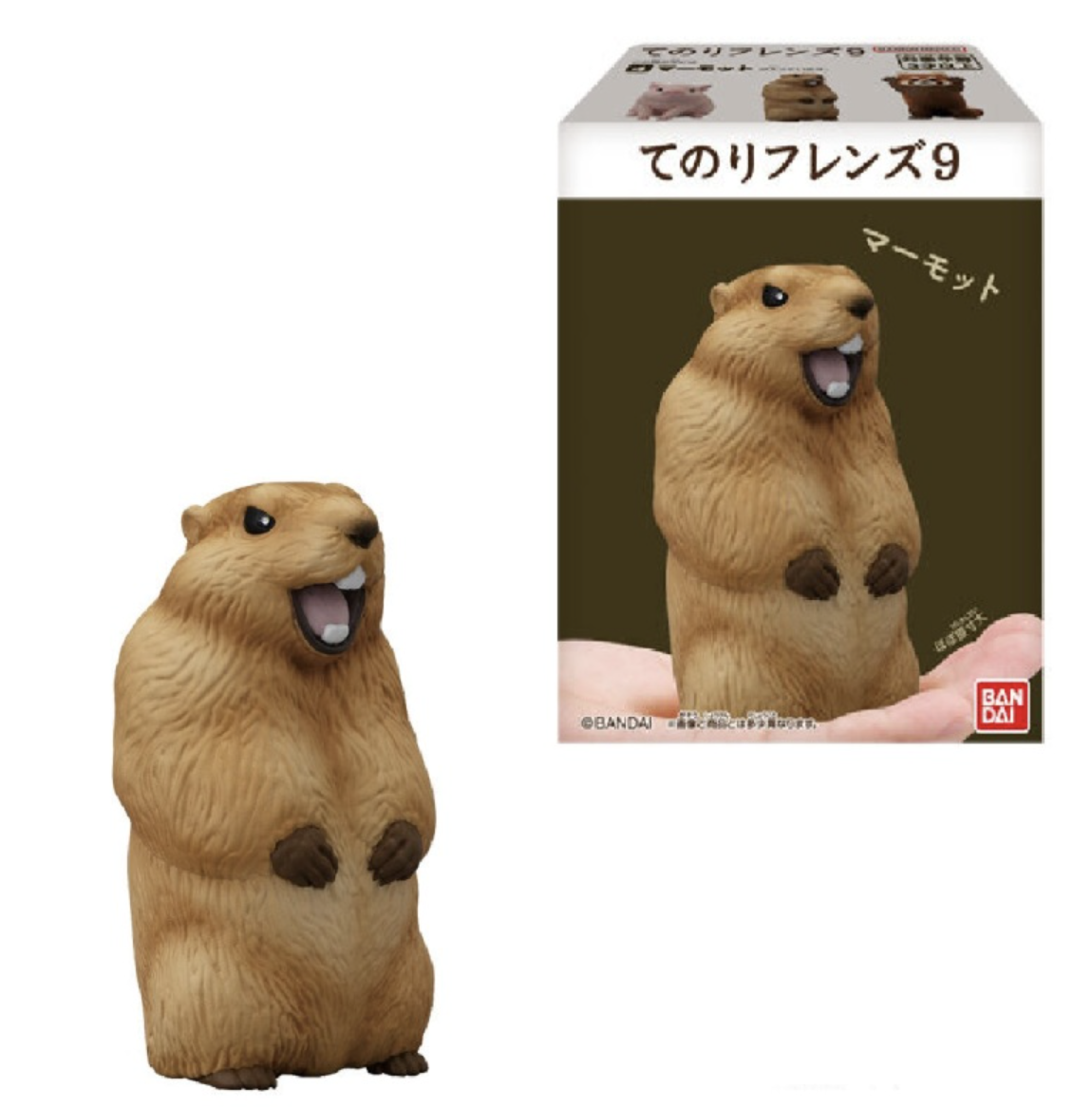 Hunter Marmot